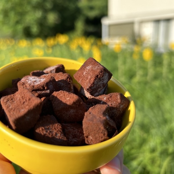 生チョコ（夏）